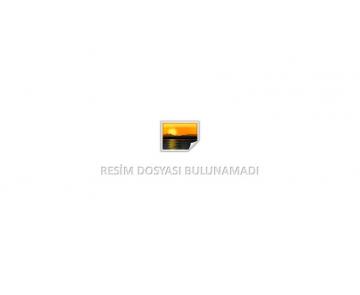 Günlük Giriş